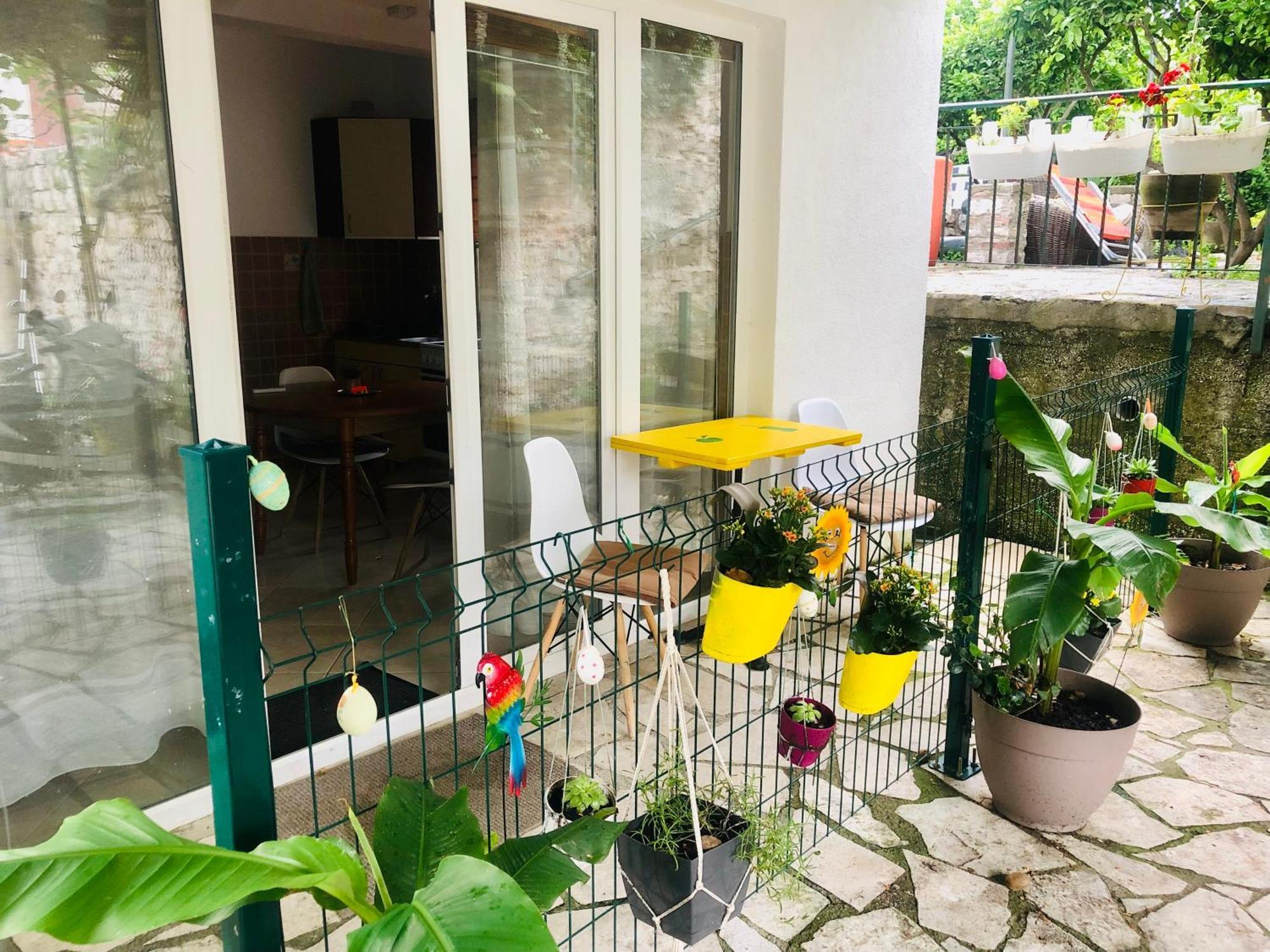 Apartments Djurovic Kotor Værelse billede