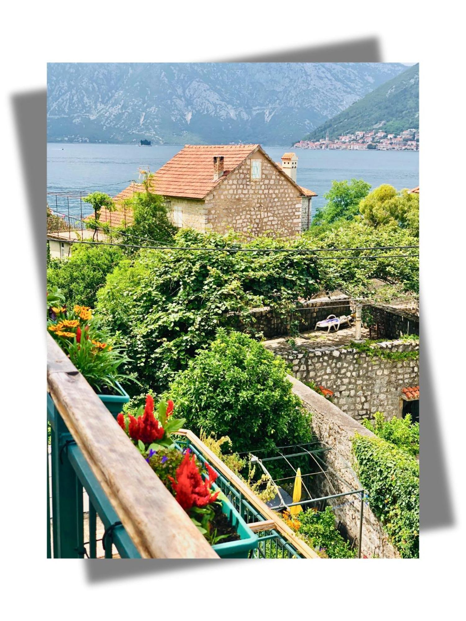 Apartments Djurovic Kotor Eksteriør billede