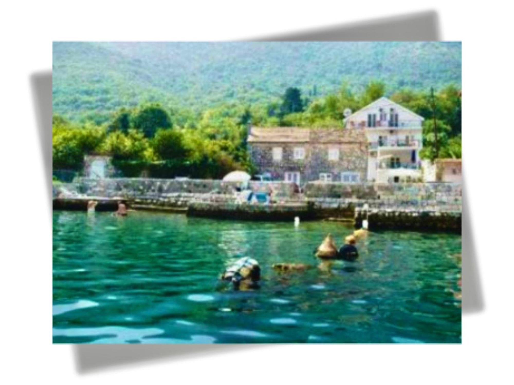 Apartments Djurovic Kotor Eksteriør billede