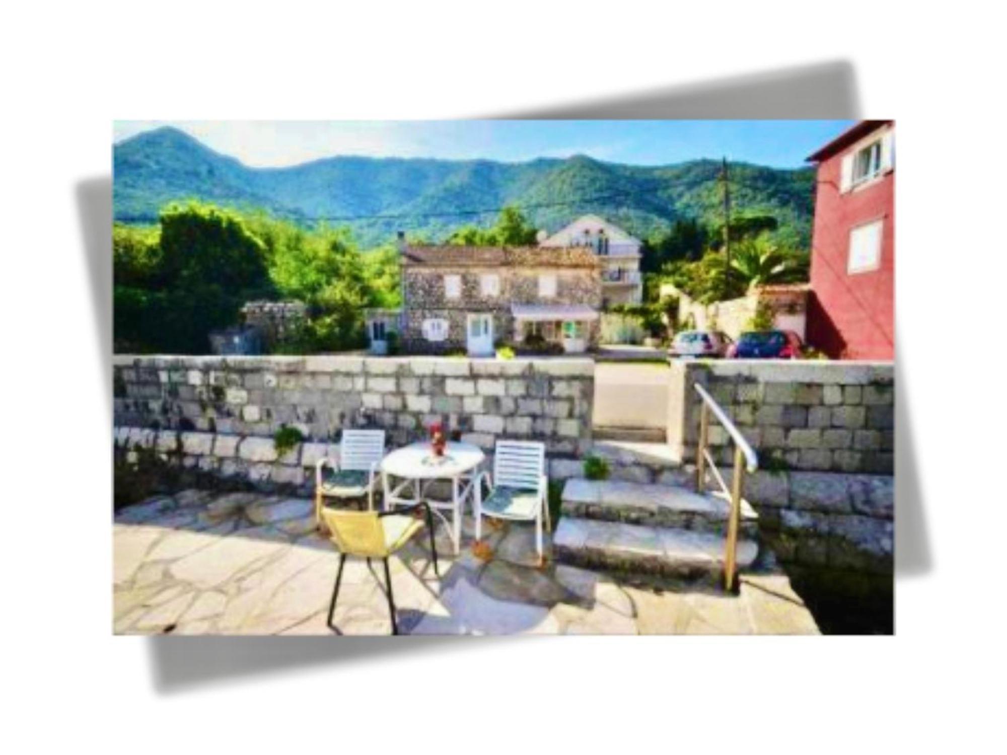 Apartments Djurovic Kotor Eksteriør billede