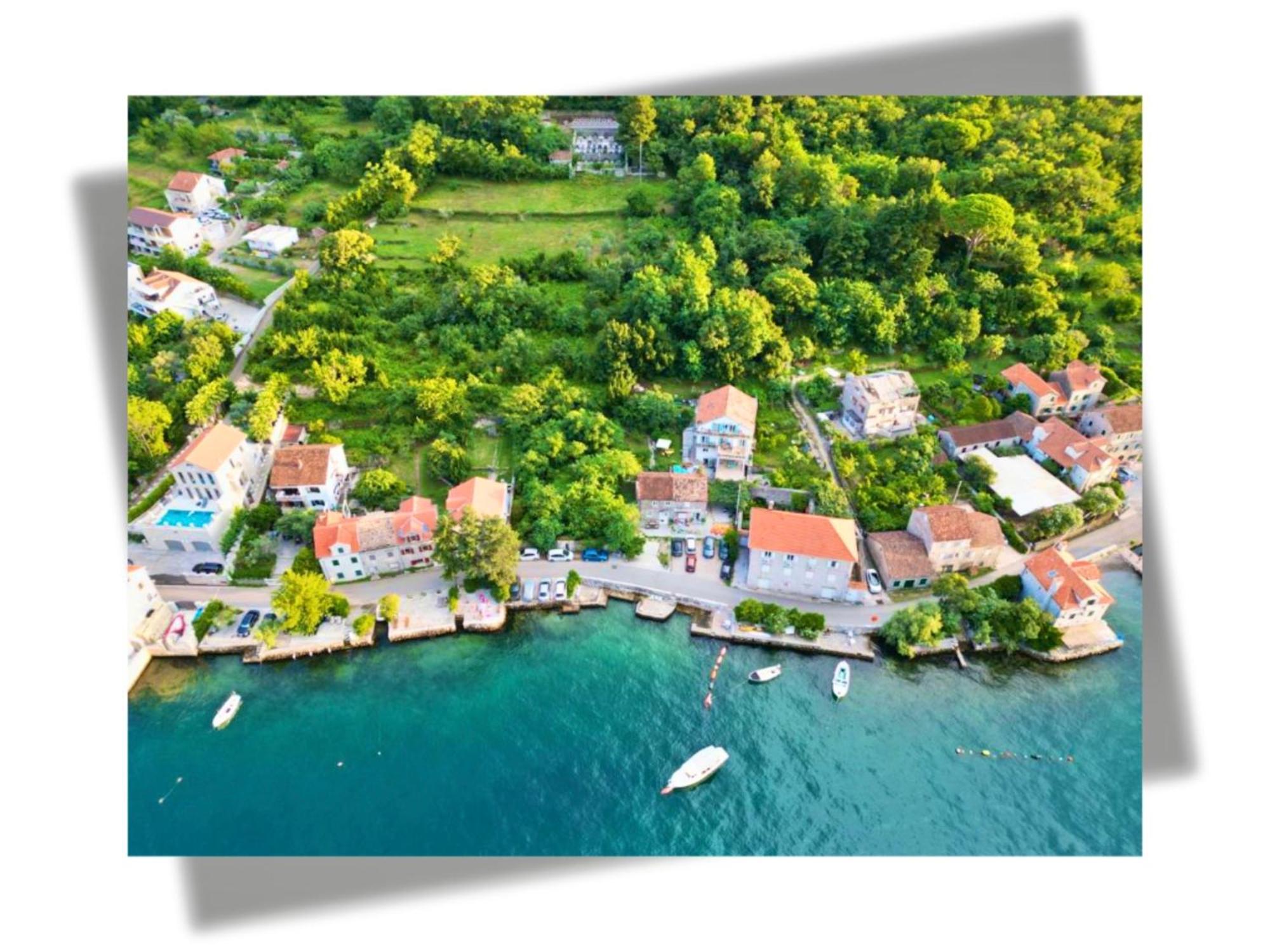 Apartments Djurovic Kotor Eksteriør billede